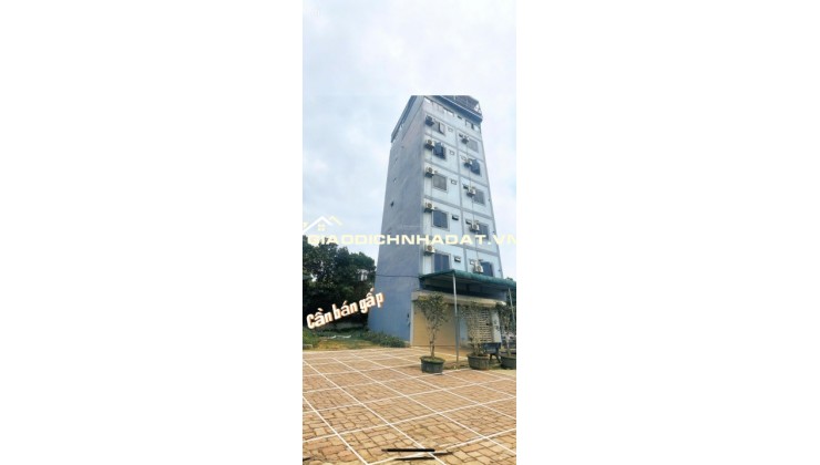 Bán đất chính chủ tại Xã Cổ Đông, Sơn Tây, Hà Nội, 30 triệu/m2, S= 100 m2 full thổ cư