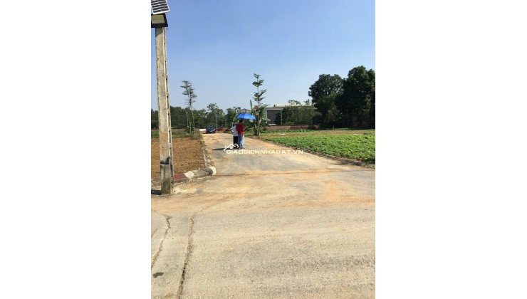 Chính Chủ Bán đất Liền Kề  tái định cư Bắc Phú Cát/ Hòa Lạc  101.7m2 đất fun thổ cư. 4.x tỷ , lh 0966329691