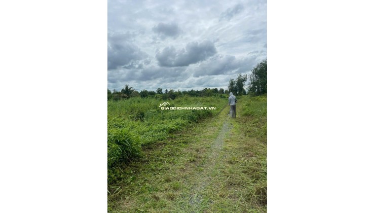 KẸT  TIỀN CẦN BÁN LÔ ĐẤT 2 MẶT TIỀN :DT 8M X 86= 688M2 CHỈ 1.6 TỶ. LH:0903198949.