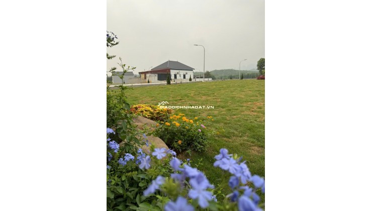 ĐỪNG ĐỂ TIỀN NẰM IM TRONG 