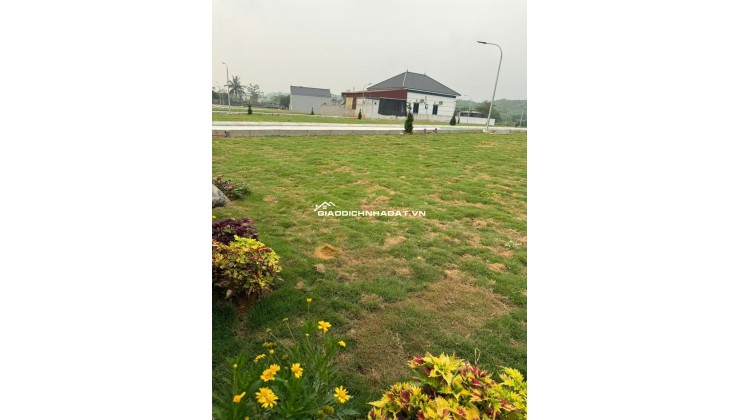 ĐỪNG ĐỂ TIỀN NẰM IM TRONG 