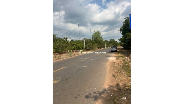 Bán đất Mt Nhựa Xuân Hiệp-Tân Tiến, Xuân Lộc. Đồng Nai. Giá 3.25ty. Lh 0984488048.