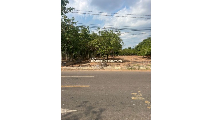 Bán đất Mt Nhựa Xuân Hiệp-Tân Tiến, Xuân Lộc. Đồng Nai. Giá 3.25ty. Lh 0984488048.