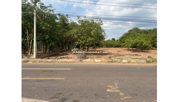 Bán đất Mt Nhựa Xuân Hiệp-Tân Tiến, Xuân Lộc. Đồng Nai. Giá 3.25ty. Lh 0984488048.