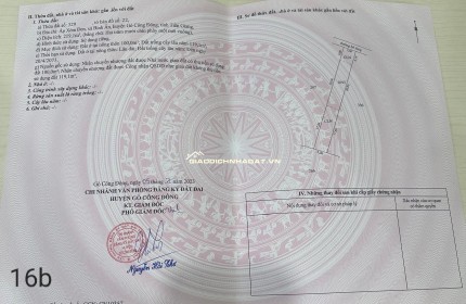 320 triệu có ngay đất vàng tại Bình Ân Gò Công Đông