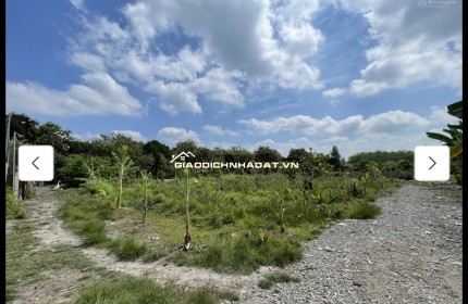 Cho thuê đất MT đường 7m rộng 1 mẫu tại ĐS 812, Xã Phú Mỹ Hưng, Củ Chi