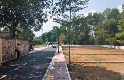 Siêu phẩm Ngã tư Lục Quân Hòa Lạc giáp dự án đất đấu giá!