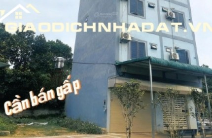 Bán đất chính chủ tại Xã Cổ Đông, Sơn Tây, Hà Nội, 30 triệu/m2, S= 100 m2 full thổ cư