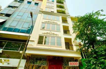 SIÊU HIẾM PHÂN LÔ HOÀNG ĐẠO THÚY – 88M2 – MT 7M – VỈA HÈ 3M – Ô TÔ KINH DOANH