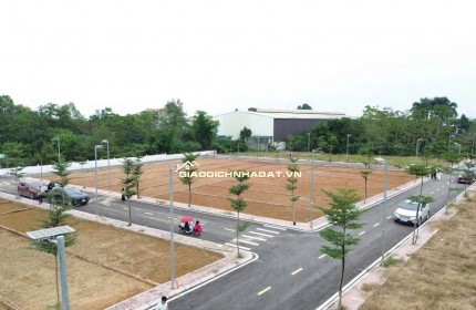 MỎ VÀNG HOÀ LẠC, PHÁP LÝ CHUẨN . SANG TÊN NGÂY