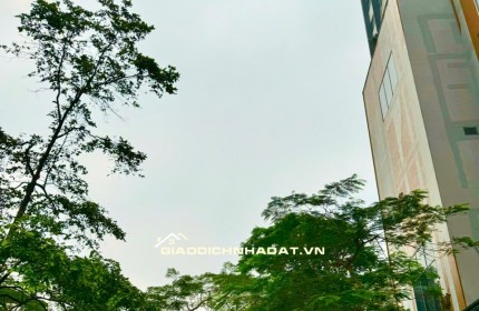  ĐẤT HOÀNG NGÂN – QUỸ ĐẤT LỚN HIẾM CÒN SÓT LẠI - 450m² - GIÁ NHỈNH 300 TRIỆU