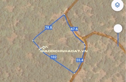 BÁN VƯỜN MÍT TẠI ĐỒNG NAI MỚI DT 5.891M2 SHR CHỈ 50TR/1000M2. LH:0869560747