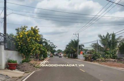 Bán gấp lô đất vàng 4196m2 - 650m2 thổ cư mặt tiền nhựa tttp đồng xoài. lh:0985962304.