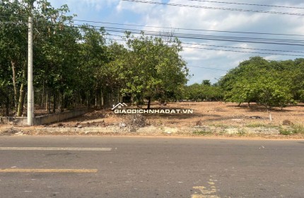 Bán đất Mt Nhựa Xuân Hiệp-Tân Tiến, Xuân Lộc. Đồng Nai. Giá 3.25ty. Lh 0984488048.