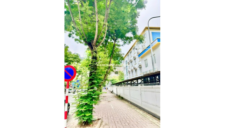 BÁN GẤP 99M2 ĐẤT – LÔ GÓC – MẶT PHỐ NGUYỄN THỊ ĐỊNH – TẶNG NHÀ 5 TẦNG KD SẴN DÒNG TIỀN