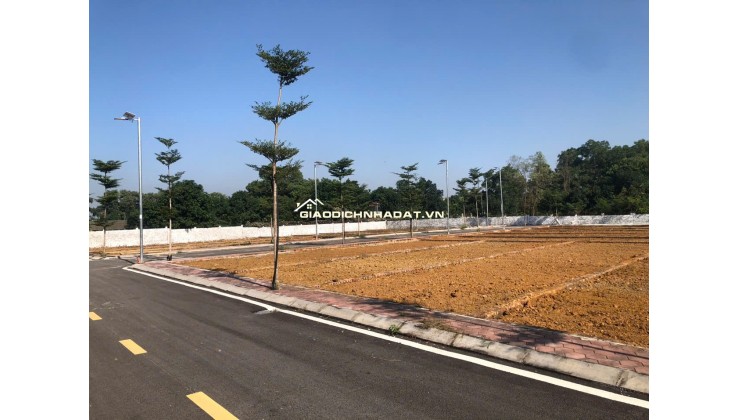 Mở bán quỹ đất đẹp nhất Phú Cát, sát Metro City,  mặt đường 446, giá cực tốt
