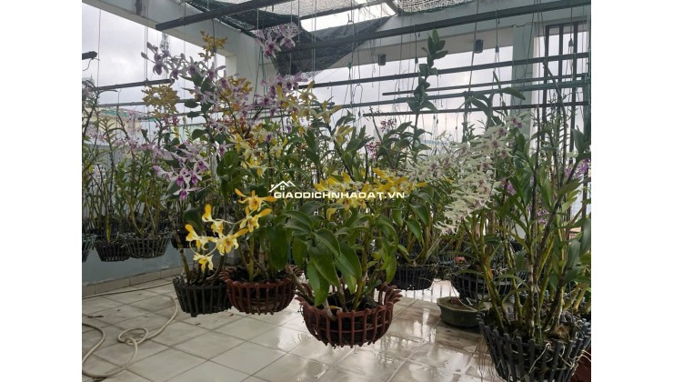 Bán nhà đúc 2,5 tấm hẻm 142 đường số 339 P. Phước Long B, Q9 cũ
