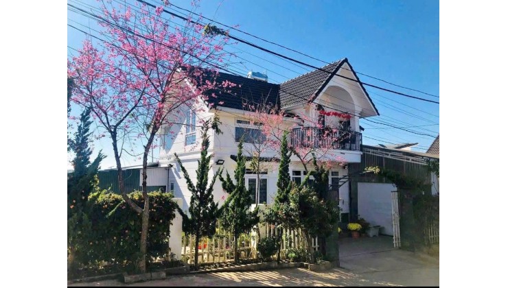 Villa đẹp mai anh đào gần thung lũng Tình Yêu