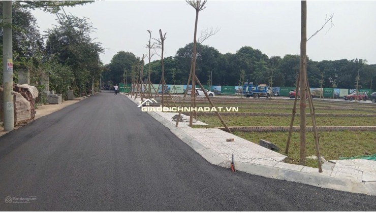 BÁN ĐẤT THẠCH HOÀ PHÚ CÁT 100M, MT 6,2M,, HOÀ LẠC - FULL THỔ CƯ -