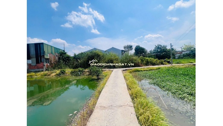 CHỦ ĐẤT CẦN BÁN  GẤP 2 MIẾNG ĐẤT BÌNH CHÁNH ẤP 3 TÂN QÚI TÂY. LH:0909304773.