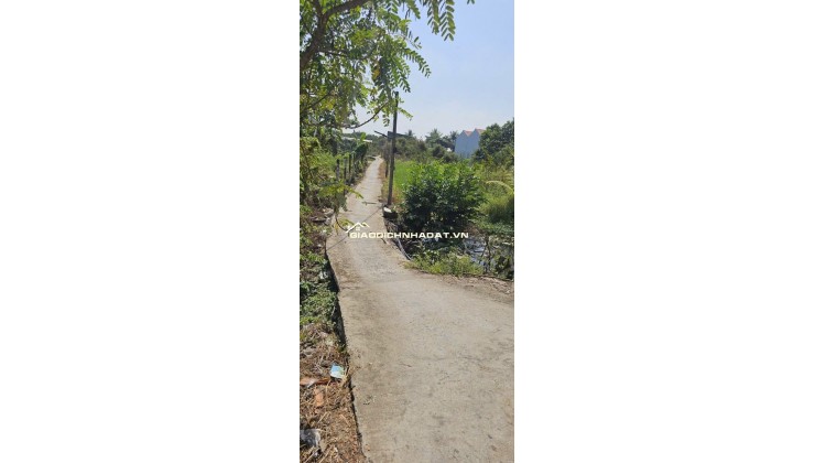 CHỦ ĐẤT CẦN BÁN  GẤP 2 MIẾNG ĐẤT BÌNH CHÁNH ẤP 3 TÂN QÚI TÂY. LH:0909304773.