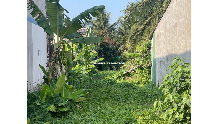 BÁN ĐẤT TP MỸ THO, DT 413.5M2 CÓ SẴN 120M2 THỔ CƯ. SHR. CHỈ 1.35 TỶ. LH:0383730186.