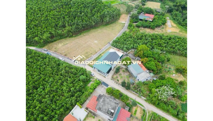  CHỈ HƠN 200 TRIỆU MÀ MUA ĐẤT SỔ ĐỎ TRAO TAY????
