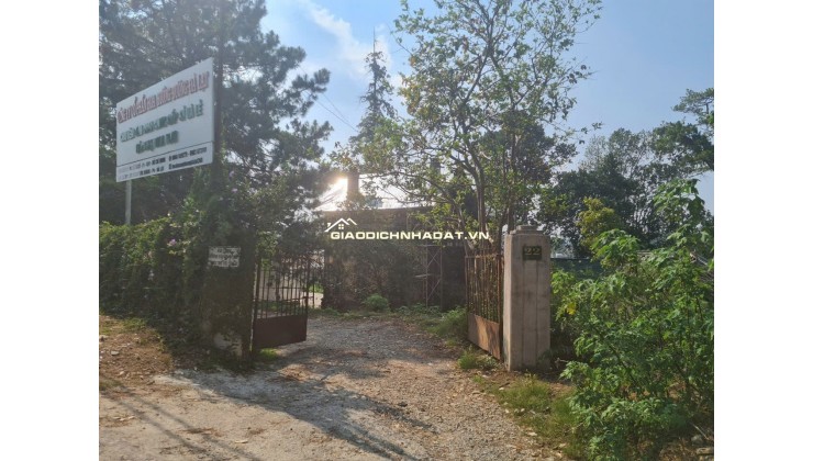 BIỆT THỰ PHÁP CỔ TTTP ĐÀ LẠT 1800M2 PHÁP LÝ RÕ RÀNG 75 TỶ. LH:0909267003.