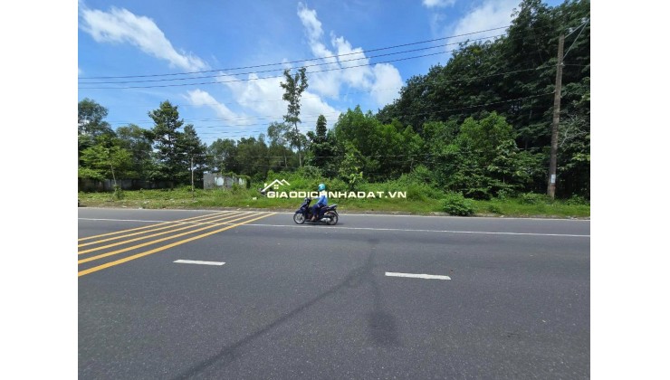 Cần bán GẤP GẤP đất mặt tiền đường Nguyễn Hữu Cảnh Nhơ Trạch 0969128268