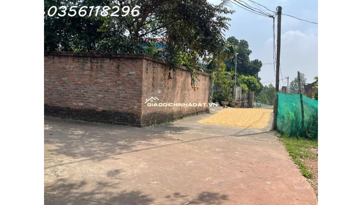 Bán 730,8m2 Nam Lý, Bắc Sơn, Sóc Sơn, Hà Nội nhỉnh 5 tỷ
