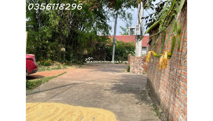 Bán 730,8m2 Nam Lý, Bắc Sơn, Sóc Sơn, Hà Nội nhỉnh 5 tỷ