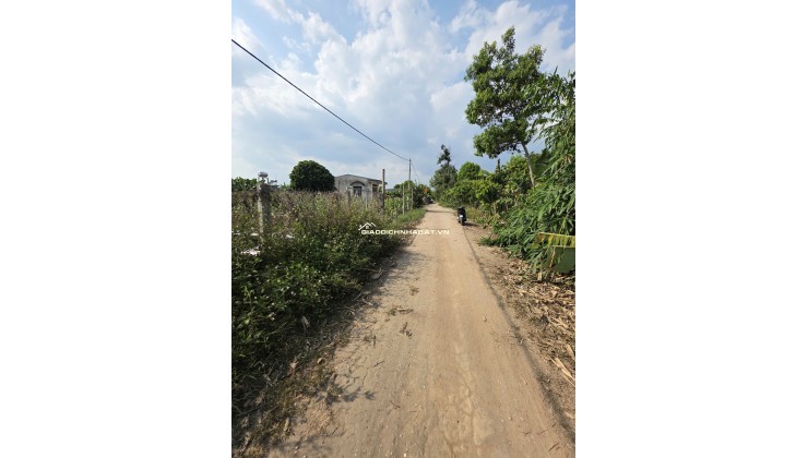 Vị trí 