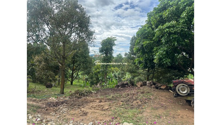 Cơ hội hiếm có: 472m² full thổ cư ngay trung tâm Đắk Mar!