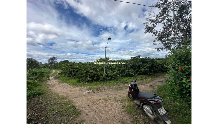 Vị trí 