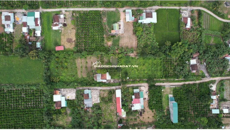 Săn đất vàng Kon Tum, đầu tư sinh lời cực đỉnh!
