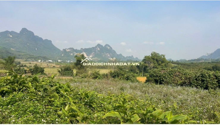 Đất Cao Phong Giá SỐC Chỉ Dưới 1 Triệu/m² Sở Hữu 6000m² View Cánh Đồng cách QL6 chưa đến 1km