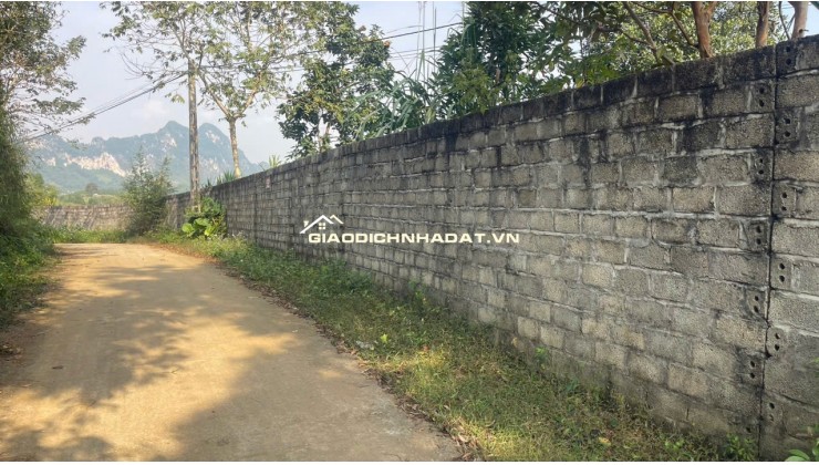 Đất Cao Phong Giá SỐC Chỉ Dưới 1 Triệu/m² Sở Hữu 6000m² View Cánh Đồng cách QL6 chưa đến 1km
