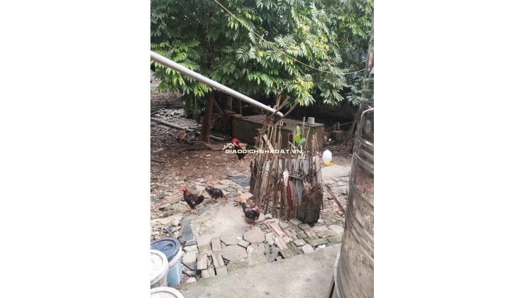 Bán 48m đất xen kẹt siêu đẹp xã Đại Thanh, ngõ rộng, vị trí đẹp