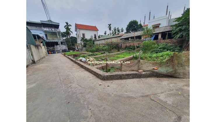 Bán 48m đất xen kẹt siêu đẹp xã Đại Thanh, ngõ rộng, vị trí đẹp