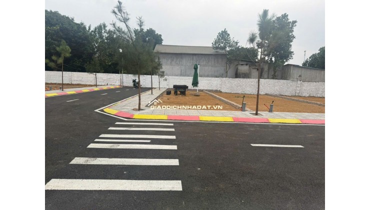 BÁN LÔ HOA HẬU CỔ LIỄN, CỔ ĐÔNG 100M NHỈNH 3TY SÁT TRỤC CHÍNH GẦN ĐHQG HN KHU CNC