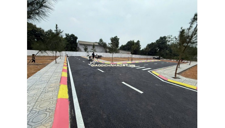 BÁN LÔ HOA HẬU CỔ LIỄN, CỔ ĐÔNG 100M NHỈNH 3TY SÁT TRỤC CHÍNH GẦN ĐHQG HN KHU CNC