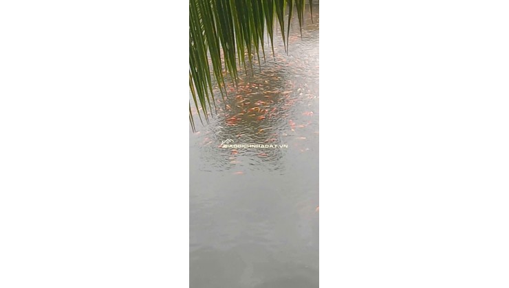 BÁN ĐẤT XÃ BÌNH LỢI - BÌNH CHÁNH, 10.387M2 SẴN 2 SỔ HỒNG CHỈ 2 TỶ/1000M2. LH:0978435476.