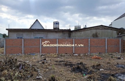 Đất Bình Dương 2700m2 cho thuê tự do kinh doanh sáng tạo