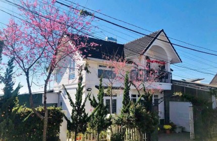 Villa đẹp mai anh đào gần thung lũng Tình Yêu