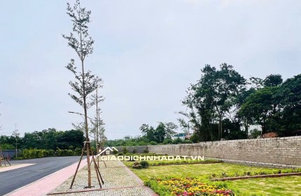 TrendingXXX 100 m2 đất thổ cư - Ngay Ngã tư chợ hòa lạc
- MT 6,8m