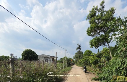 Vị trí 