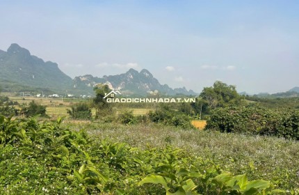 Đất Cao Phong Giá SỐC Chỉ Dưới 1 Triệu/m² Sở Hữu 6000m² View Cánh Đồng cách QL6 chưa đến 1km