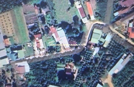 Sẵn sàng chốt lô đất ngon lành ở Đắk Hà, Kon Tum cho các nhà đầu tư thông thái đây ạ!