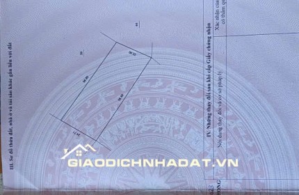 ĐẤT CAO PHONG SIÊU HIẾM – 7.000m², View Hồ & Cánh Đồng, Giá Dưới 1 Triệu/m²