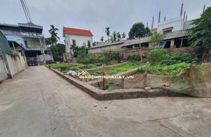 Bán 48m đất xen kẹt siêu đẹp xã Đại Thanh, ngõ rộng, vị trí đẹp